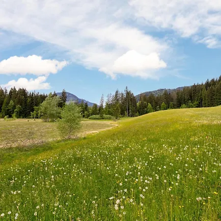Hébergement de vacances Kaiserblick